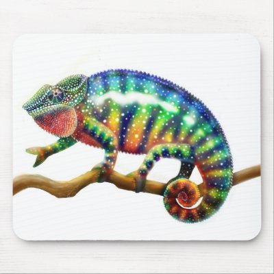 chameleon lizard form