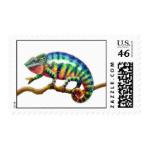 Panther Chameleon Lizard Postage postage