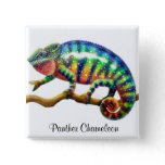 Ambaja Chameleon