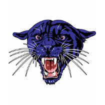 Panther Roar t-shirts by alternateworlds Panther Roar t-shirts