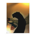 Panther Sunset Postcard by Jaenne Panther Sunset Postcard
