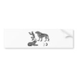 Panthera Leo - Skeleton Lions In Repose Bumper Stickers