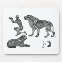 Panthera Leo - Skeleton Lions In Repose Mouse Pads