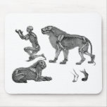 Panthera Leo - Skeleton Lions In Repose Mouse Pads
