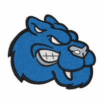 Panthers embroidered shirts
