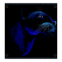 Panthers Face Poster posters by Lotacats Panthers Face Poster posters
