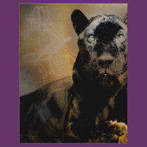 Panther's Pulse flyers
