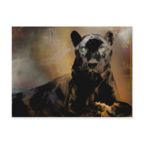 Panther's Pulse Postcards