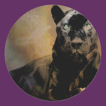 Panther's Pulse stickers