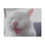 Panting Cuteness Panting Cuteness