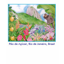 Pão de Açúcar t-shirts by joeyartist Pão de Açúcar t-shirts