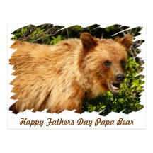 Papa Bear Postcard