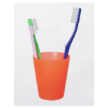 Papa toothbrush and little toothbrush flyer