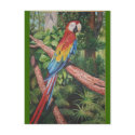 papagallo postcards