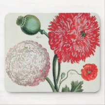 Papaver somniferum and Papaver rheas engraved by G Mouse Pads