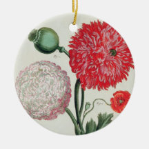 Papaver somniferum and Papaver rheas engraved by G Christmas Tree Ornaments
