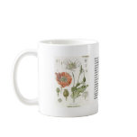 Papaver somniferum mugs