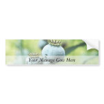 Papaver Somniferum Seed Heads Bumper Stickers