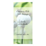 Papaver Somniferum Seed Heads Personalized Rack Card