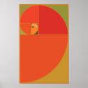 Papaya Fabonacci Spiral posters