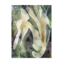 Papaya Flower in Abstract Postcards by GalleryVisage Papaya Flower in Abstract Postcards