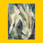 Papaya Flower in Abstract Postcards