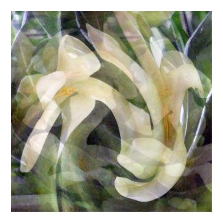 Papaya Flower print