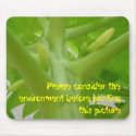 Papaya flowers, Please consider the environment... mousepads