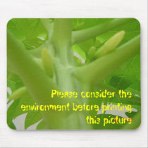Papaya flowers, Please consider the environment... mousepads