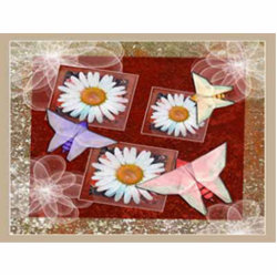 Paper Butterflies photosculpture