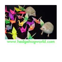 Paper crane hedgehogs shirt by hedgehogworld Paper crane hedgehogs shirt