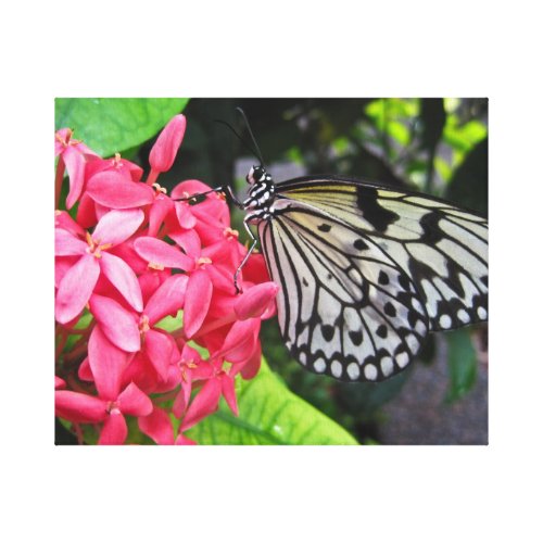 Paper Kite Butterfly wrappedcanvas