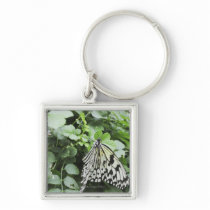 Paper Kite Butterfly (Idea leuconoe) on vine, Key Chain
