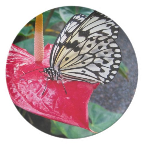Paper Kite Butterfly plate