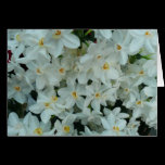 Paperwhite Narcissus Card