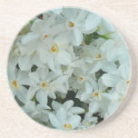 Paperwhite Narcissus Coaster