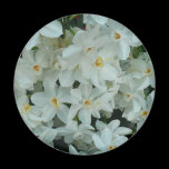 Paperwhite Narcissus Magnet