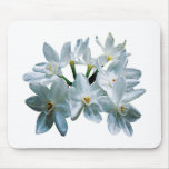 Paperwhite Narcissus Mouse Pad