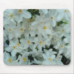 Paperwhite Narcissus Mousepad