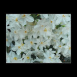 Paperwhite Narcissus Postcard