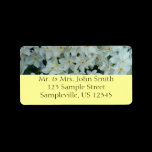 Paperwhite Narcissus Return Address Label