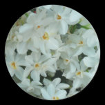 Paperwhite Narcissus Sticker