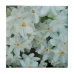 Paperwhite Narcissus Tile