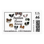 Paphaven Transport Magnet Stamp