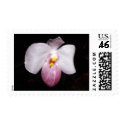 Paphiopedilum delenatii postage