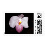 orcdid species, orchid stamp, collectible, rare