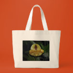 paphiopedilum, orchid, paph, yellow, flower,