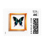 "Papilio blumei" Butterfly Watercolor "Papilio blumei" Butterfly Watercolor