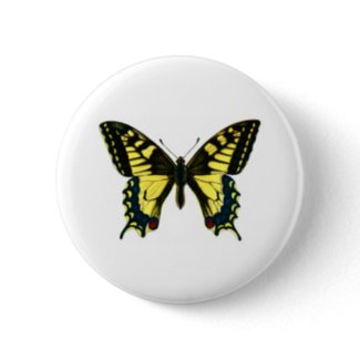 Papilio machaon button