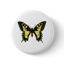 Papilio machaon buttons
